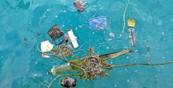 Assorted plastics and other debris float on the surface of the sea.