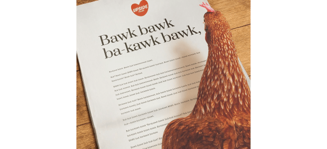 A red chicken stands on a printed page as if reading it; the title on the page, in large letters, is “Bawk bawk ba-kawk bawk.”